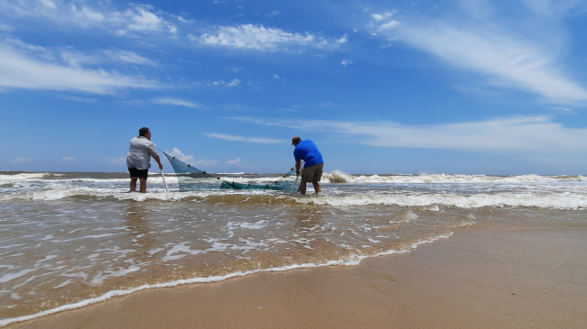 Two adults pull a seine, or large net, through the surf to collect organisms.