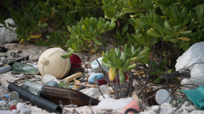 Underwater ocean plants are surrounded by trash and debris including bottles, pieces of plastic such as fishing bobs that lay amongst rocks and pebbles. 