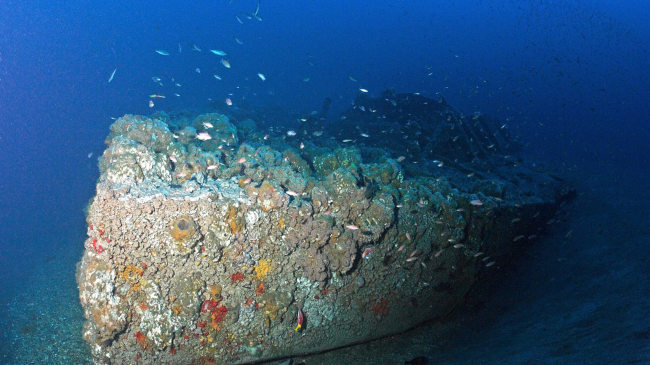 The bow of the iconic Civil War ironclad Monitor resting on the seafloor off North Carolina. 