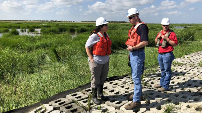 NOAA Fisheries staff in the field at a restoration project site in Louisiana. 