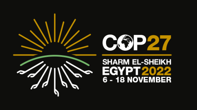 The artwork for the COP27 meeting in Egypt, November 9-14, 2022.