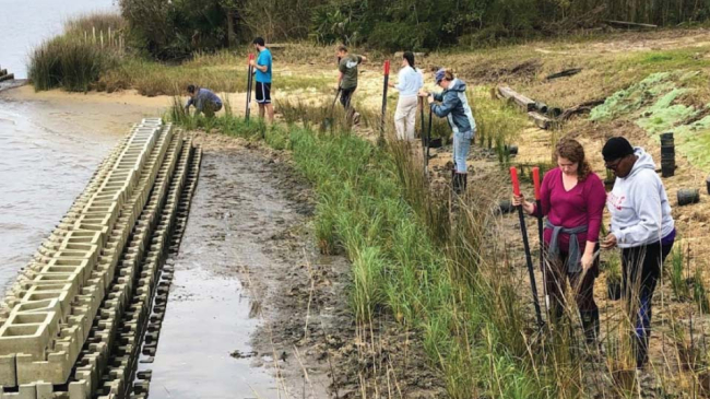 Volunteers plant natural grasses safely behind a newly constructed breakwater, which is part of a living shoreline project, at Camp Wilkes in Biloxi, Mississippi.