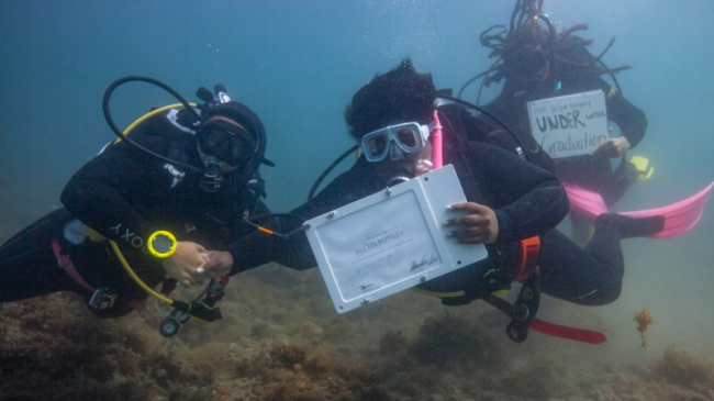 Three people are underwater scuba diving. One person is holding up a sign that says "underwater graduation". Another person is handing over a sign to a third person that says "Alexis Putney" and looks like a diploma.