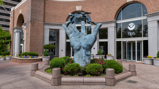 The Hand of NOAA sits outside the NOAA buildings in Silver Spring, MD. It is a hand several feet taller than a person reaching up with it's fingers outstretched to release four seagulls and is surrounded by small bushes.