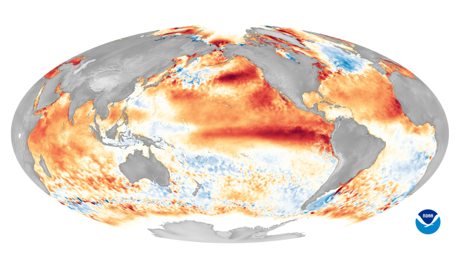This world map shows sea surface temperature anomalies during one of the strongest El Nino events on record in 2016. The red colors indicate warmer-than-average ocean temperatures, while blue values are cooler-than-average temperatures.