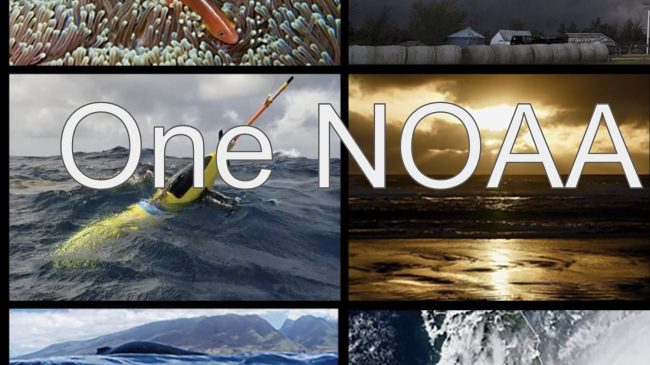 A grid of photos featuring NOAA-related topics including fish, storms, weather balloons, a whale, a hurricane, a NOAA ship, sea turtles, a buoy, and a sandy beach. Text: One NOAA, One Earth.