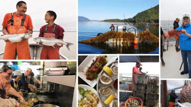 A photo collage representing sustainable seafood from across the U.S.