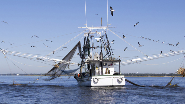 commercial fishing  National Oceanic and Atmospheric Administration