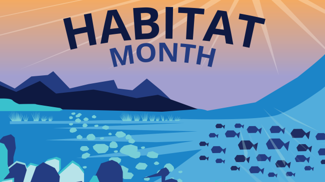 Graphic celebrating Habitat Month showing the dark blue outlines of a bird, a school of fish, and seagrass.