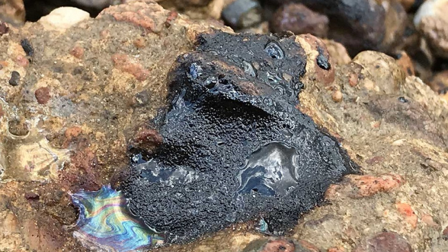An oiled rock along the Mississippi River shoreline near New Orleans, Louisiana, following an April 2018 fuel oil spill. Oil can come in different forms, including tarballs, pancakes, and mousse.