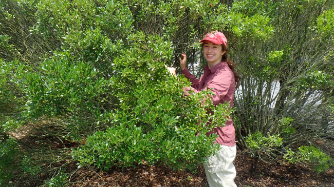 Eleanor poses with a smile as she uses her hands to gently part a section of a large shrubby plant.
