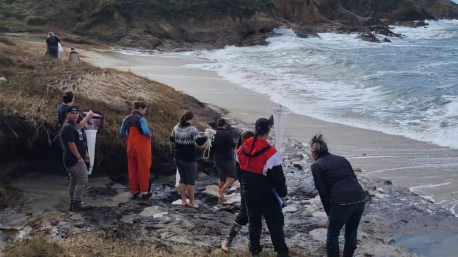 A group of workshop participants viewing phytoplankton samples on a beach in California