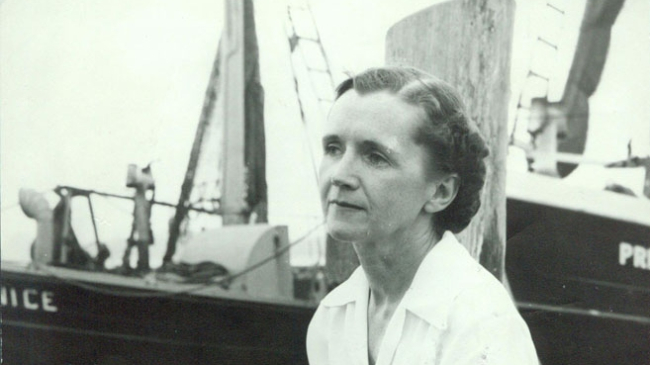 1951: Rachel Carson at the dock in Woods Hole, MA.