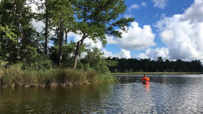 A person paddles in a kayak next to a piece of land covered in trees. More tree-covered land in the distance.