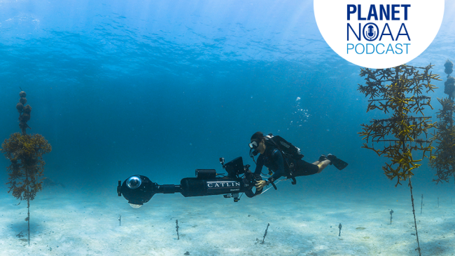 A NOAA diver collects 360-degree imagery for virtual reality displays of a coral nursery in  NOAA Florida Keys National Marine Sanctuary. 