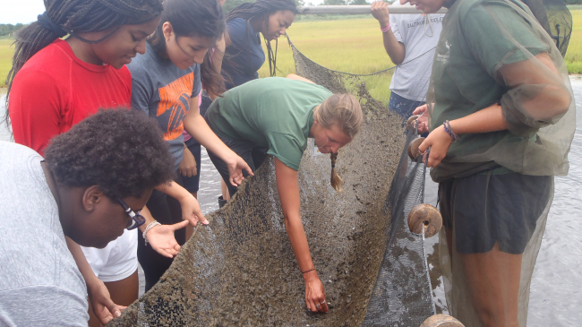 A group of students hold a seine net and look in to observe what was caught. 