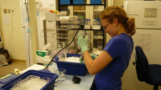 Brittany Evans conducts research in a laboratory setting. Brittany is wearing gloves and using a technical insturment.