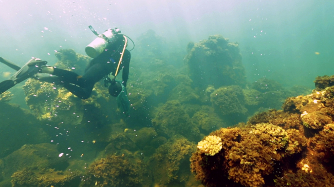 Ian Enochs, scientist with NOAA’s Atlantic Oceanographic and Meteorological Lab and the Cooperative Institute for Marine and Atmospheric Studies, measures the effect of carbon dioxide on coral off the Pacific Island of Maug.