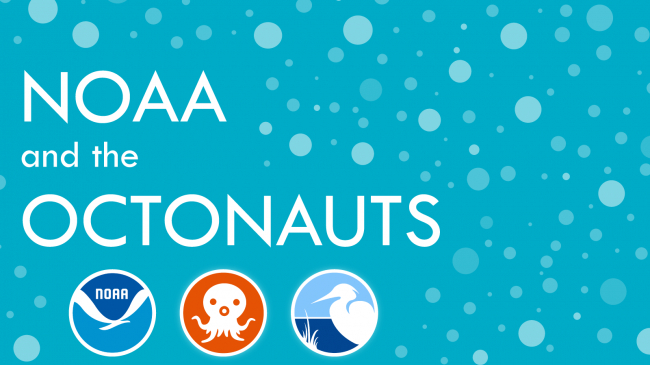 Welcome to "NOAA and the Octonauts," an episode-by-episode discussion of the children’s TV show The Octonauts, which features a crew of quirky and courageous undersea adventurers. Their mission: to explore the world’s ocean, rescue the creatures who live there, and protect their habitats. Our monthly podcast brings together experts from inside and outside of NOAA to help you and the children you care about learn more about the real-life versions of the Octonauts sea creatures and the ocean they call