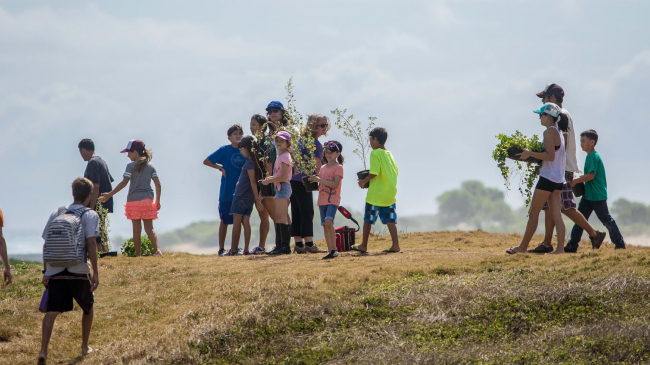 Elementary educator Angela Huntemer-Sidrane, received funding from the Climate Stewardship Education Project for two school years to restore habitat on Kahuku Point. During the project, 45 third graders removed 110 square meters of invasive plants, planted 800 grass starters, and500 native plants — including endangered species grown from seed specifically for the project. They also removed 110 kilos (243 pounds) of trash and marine debris.