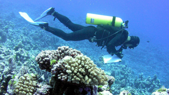 The 2016 coral reef grants and cooperative agreements issued by the NOAA Coral Reef Conservation Program include work to monitor the condition of reefs, promote reef resilience in the face of a changing climate, and enhance sustainable fisheries.