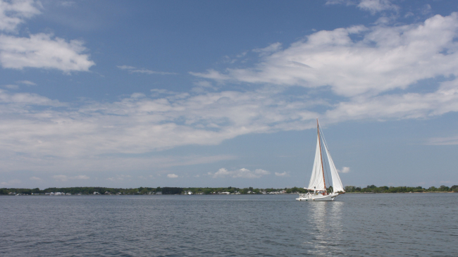 A variety of economic sectors, ranging from commercial and recreational fishing to tourism, rely on a healthy Chesapeake Bay.