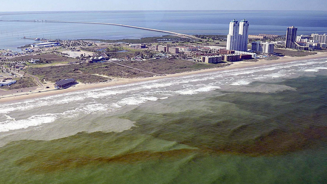 Red tide off the coast of Texas.