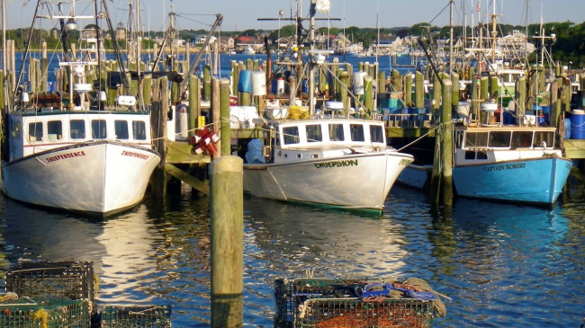 Fishing vessels docked at Point Judith, Rhode Island.
