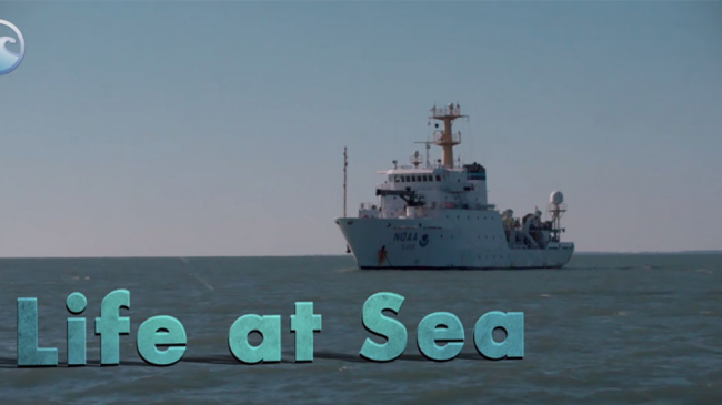 Life at Sea video screen capture.