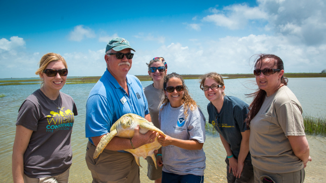 Houston Zoo's Dr. Joe Flanagan and NOAA Fisheries' Lyndsey Howell (both pictured at center holding turtle) pose with veterinary staff and their "patient" set for release back into the wild.