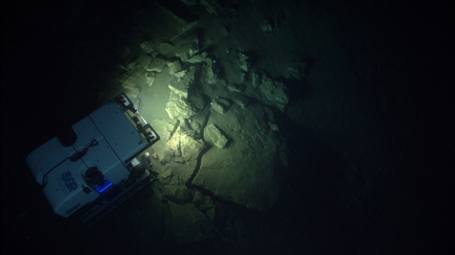 ROV Deep Discoverer investigates the Northeast Canyons during the 2013 NOAA Ship Okeanos Explorer expedition.