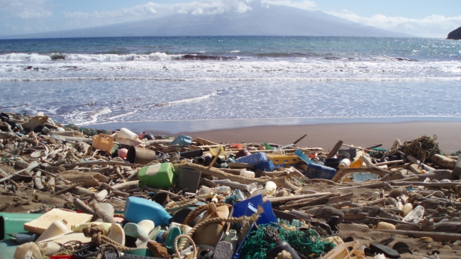 Marine debris washed ashore on the Hawaiian island of Kaho'olawe.