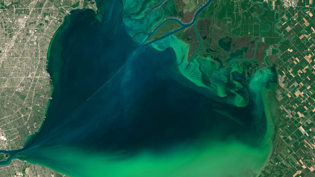 On July 28, 2015, NASA's Operational Land Imager (OLI) on the Landsat 8 satellite captured images of algal blooms around the Great Lakes, visible as swirls of green in this image of Lake St. Clair and in western Lake Erie.