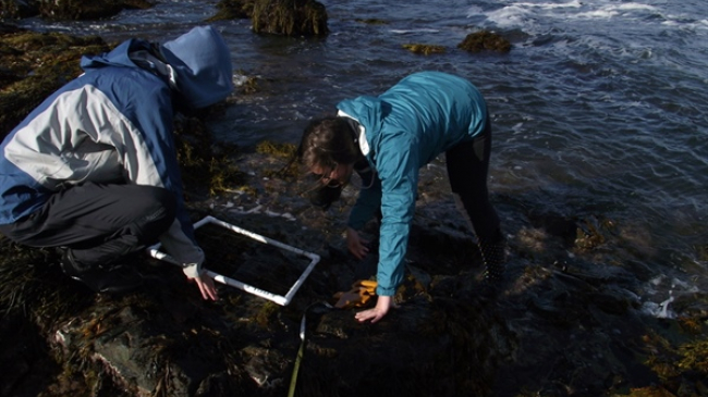 Whether collecting data from rocky intertidal habitats in Nahant, or serving up drinks “on the rocks” in Cape Cod, my experiences helped me succeed in my long-term career goals.
