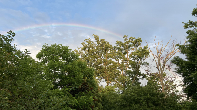 A rainbow spotted in Silver Spring, Maryland, at 6:20 am on June 19, 2020.