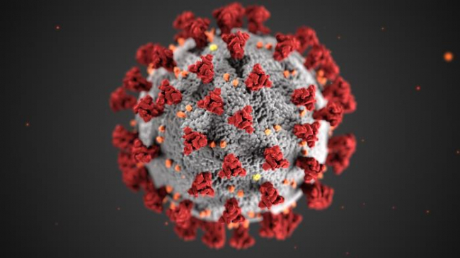 This illustration, created at the Centers for Disease Control and Prevention (CDC), reveals ultrastructural morphology exhibited by coronaviruses. Note the spikes that adorn the outer surface of the virus, which impart the look of a corona surrounding the virion, when viewed electron microscopically. A novel coronavirus, named Severe Acute Respiratory Syndrome coronavirus 2 (SARS-CoV-2), was identified as the cause of an outbreak of respiratory illness first detected in Wuhan, China in 2019. The illness