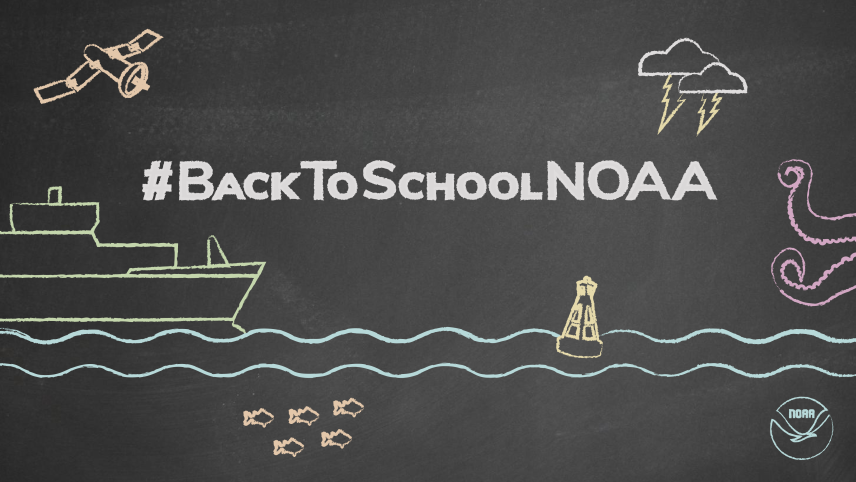 A graphic of a blackboard with #BackToSchoolNOAA written on it surrounded by chalk doodles of a satellite, ship, fish, buoy, lightning, and octopus arms.