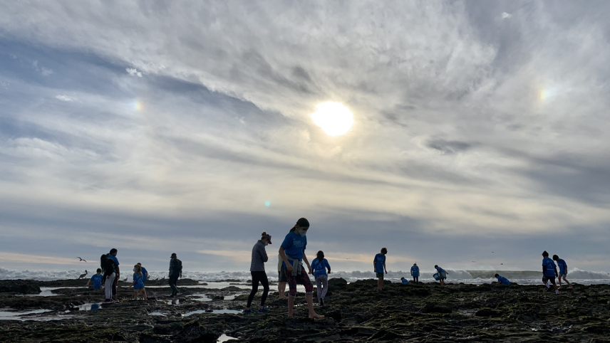 With the sun low in the sky near sunset, silhouettes of adults and children look down at the tide pools while exploring.