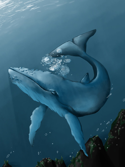 Artwork of a humpback whale under the sea.