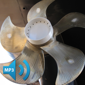 AUDIO: Steady, rhythmic noise from a ship propeller miles away comes in loud and strong.