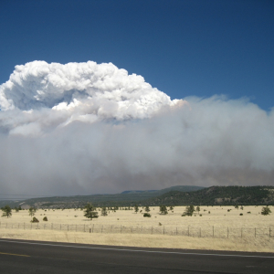 Towering pyrocumulus clouds form from the intense heat generated by the Wallow fire in Arizona.