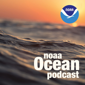 Ocean waves in a sunset with a NOAA logo and the words, "NOAA ocean podcast."
