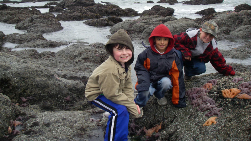 Three young students kneel on a large rock and inspect the marine life within the tidepool.