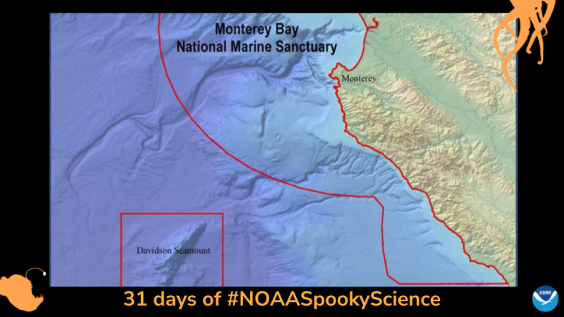 A map of Davidson Seamount with the area enclosed in a red square. Monterey Bay National Marine Sanctuary is also enclosed in a red area to show location. Border of the photo is black with orange sea creature graphics of octopus tentacles and an anglerfish. Text: 31 days of #NOAASpookyScience