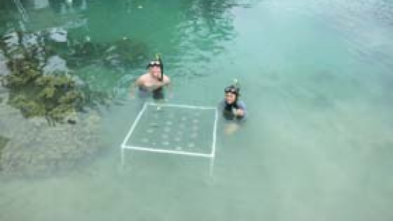 Hollings Scholar Austin Hunter during his summer internship with the NOAA Coral Reef Conservation Program working on a pilot scale coral nursery for growing corals of opportunity. 
