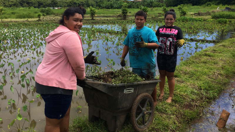 3 students stand by wet marsh with mountains in the background as they wheel a barrel filled with plants