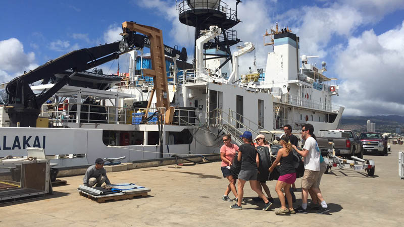 In Oahu, scientists load the seals onto a NOAA ship Hi‘ialakai to complete the transport back to the wild.