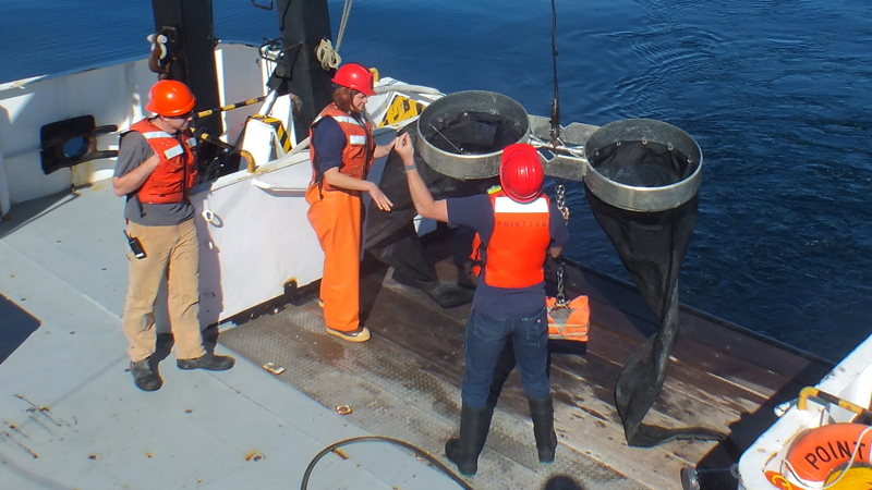 NOAA scientists lower tow nets into the Pacific Ocean to collect microscopic plants and animals during the 2013 West Coast ocean acidification research cruise. 