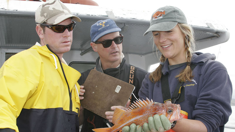 Sea Grant scientists work with anglers to measure rockfish in California. 