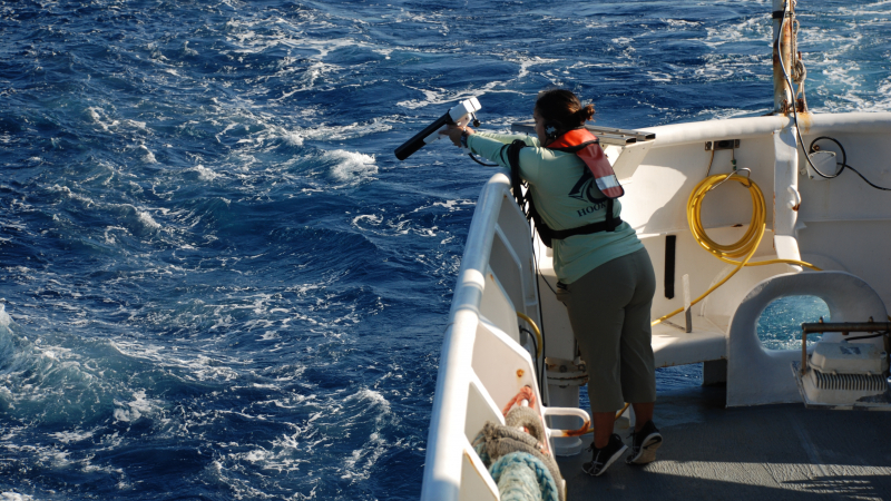 Rebekah Hernandez deploys an expendable bathythermograph off the stern of the NOAA Ship Okeanos Explorer.